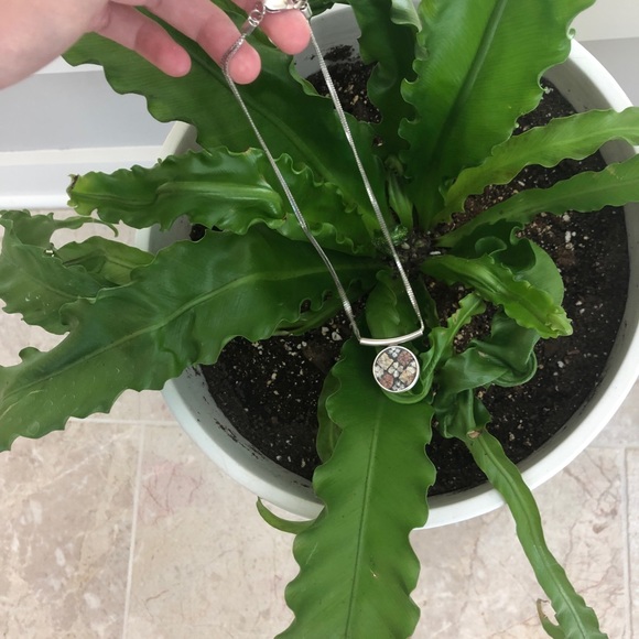 Flower design pendant and silver chain necklace - Picture 1 of 8